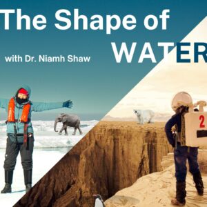 The Shape of Water